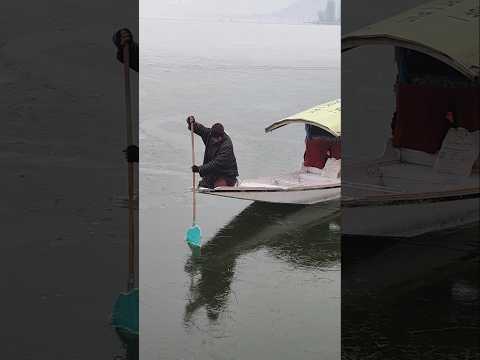 Frozen Dal lake #shorts #srinagar #lake #gulmarg #kashmir #pahalgam #sonmarg #jammu #katra #snow