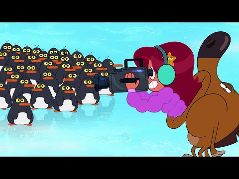 ZIG e SHARKO 🌴 Aventura no mundo dos pinguins! | Zig e Sharko Brasil | Desenho Animado em português