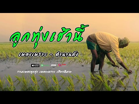 รวมเพลงลูกทุ่งเพลงเพราะเช้านี้   // ตำนานเพลงยังดังฟังถึงวันนี้