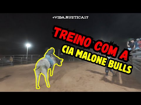 CIA MALONE BULLS TROUXE OS BOIS DE RODEIO EM CASA PARA LAPIDAR #vidarústica