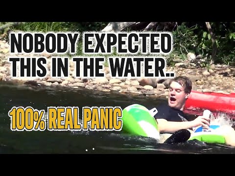 Nobody Expected THIS in the Water…