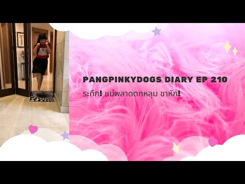 ระทึก! แม่พลาดตกหลุม ขาหัก! l Pangpinkydogs Diary ep210
