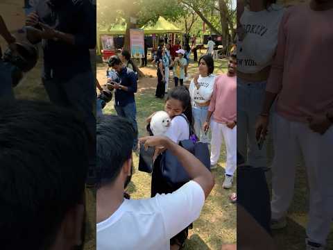 Valentine's Day 🥰 එකට ඔයාටත් මේ වගේ gift එකක් හම්බනුනොත් කොහොමට තියේවිද🫣#shorts