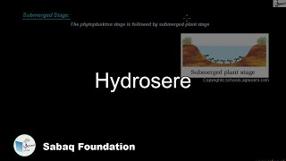 Hydrosere