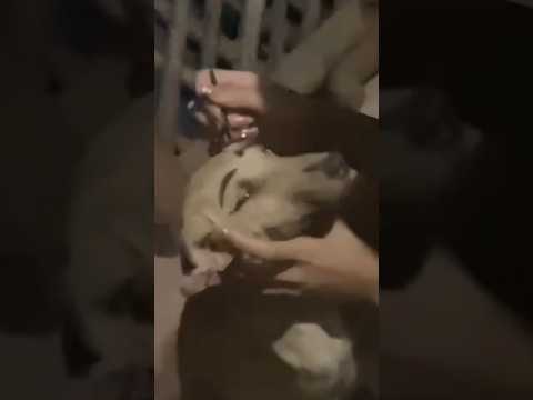 Sıradan Bir Alışveriş Günü... #shorts