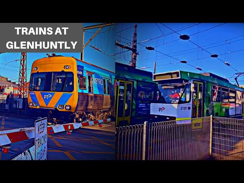 Trains & Trams at: Glenhuntly