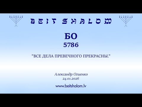 БО 5786. 