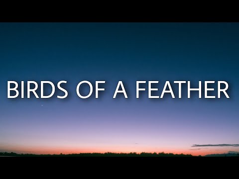 Billie Eilish - BIRDS OF A FEATHER (Lyrics)