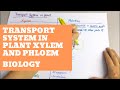 Plant Transport Systems and Tissues
