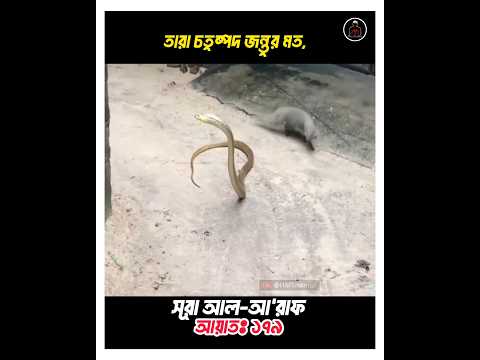 তারা চতুষ্পদ জন্তুর মত, বরং তার চেয়েও পথভ্রষ্ট || #ayat #quran #recitation #shorts