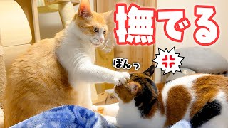 動画サムネイル