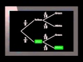 Probability Concepts and Problems