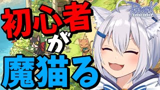 【RO】Lv240になった！新しい冒険が始まるっ！？【ラグナロクオンライン】