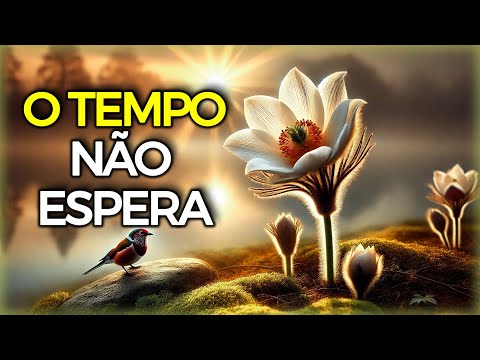 O Tempo Não Espera - Mensagem de Boa Noite e Reflexão