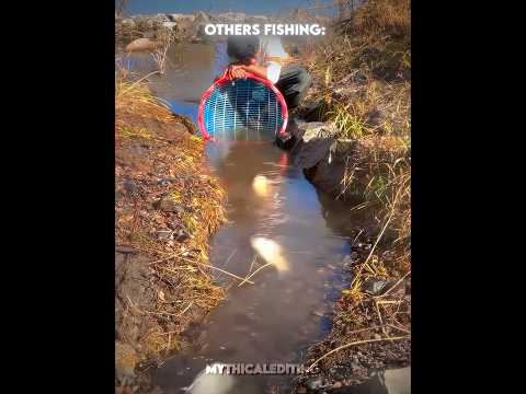 He Caught This…