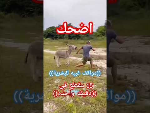 مضحك: اغبى مواقف للبشر #funny #كوميديات #comedy #جديد #ضحك #اكسبلور #مقاطع_مضحكة #الجزائر #السعوديه