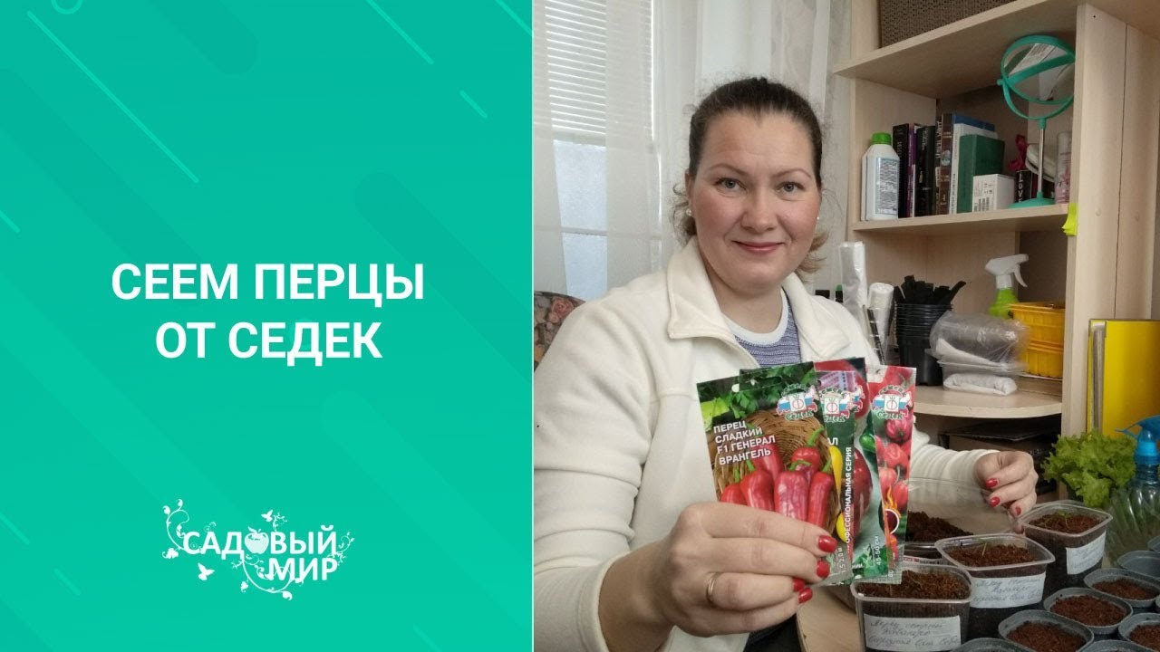 Посев семян перца в феврале 2020. Как это делаю я. Всегда крепкая рассада