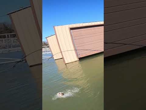 Unexpected! #kayaktournamentfishing #bassmaster #fishing #kayakbassfishing