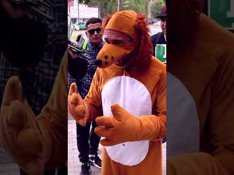 El Perro Guarumo tratando de aprender un nuevo idioma #shorts