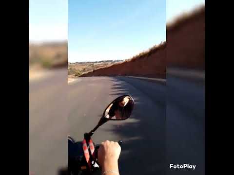 De garupa com o filhote