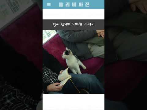올리비아 웃짤 185