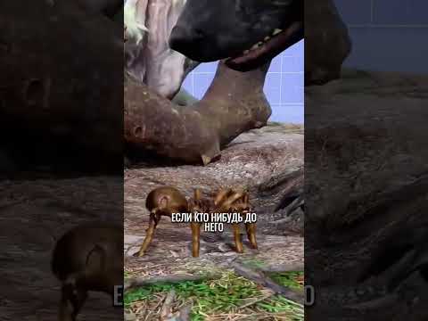 Паук лишился защиты😱