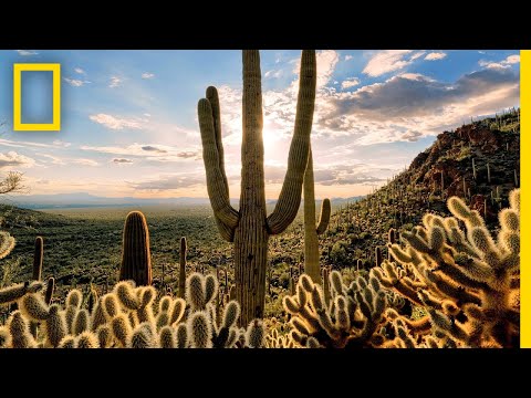 Deserts 101 | National Geographic - YouTube(3:52)