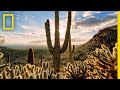 Desert Ecosystems and Their Challenges