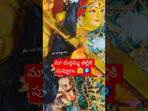 మా దుర్గమ్మ తల్లికి పువ్వులు 🧿🤗#trending #ytshorts #viral #durgammadurga#navarathripooja #navaratri