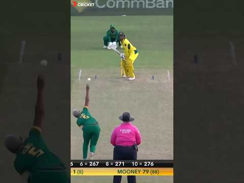 What a drama..Hit-wicket, No ball & Six😯#shorts #trending #viral #cricket #drama