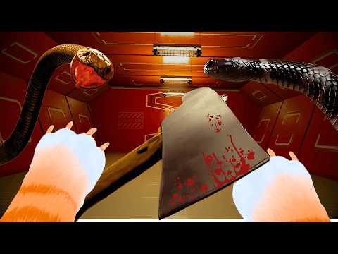 Boby me secuestra... ¡Si te mueves PIERDES! - Don't Move VR