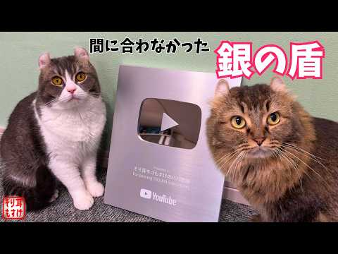 応援ありがとうございました❗️YouTubeから半年遅れで銀の盾が届きました