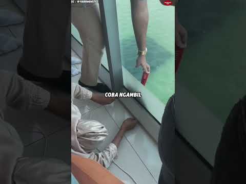 Cewek itu Hampir Kehilangan Ponselnya