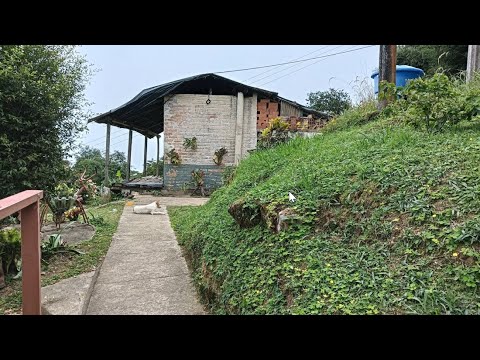 Finca Buena y Barata $14,800 en Venta Con Café, Cacao y Aguacate