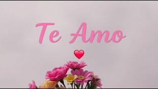 💖 Tienes que ver esto, mi amor eterno 💝