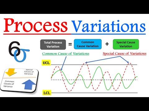 Six Sigma Process Variation & Sources of Variation | Common Cause Vs Special Cause of Variation 📹