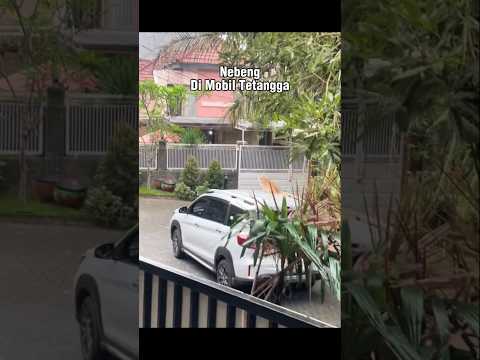 Nebeng Di Mobil Tetangga #shorts #cat #kucing #catlovers #animals #funny #pets