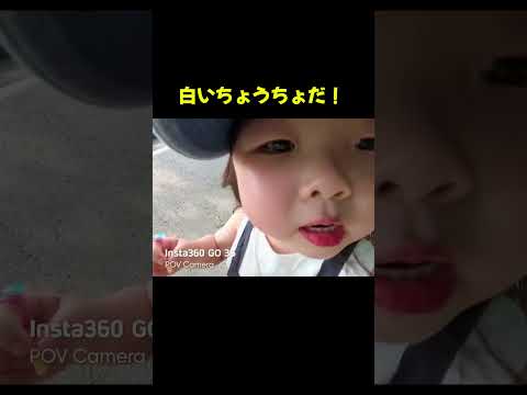 帽子カメラが捉えた純粋な喜び