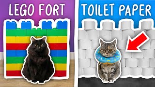 I Built 10 Incredible Cat Forts!