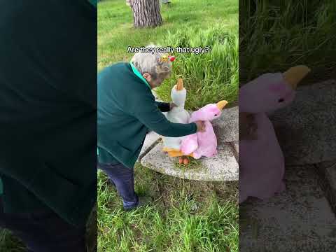 What do you think of her goose plushies 🥹❤️‍🩹