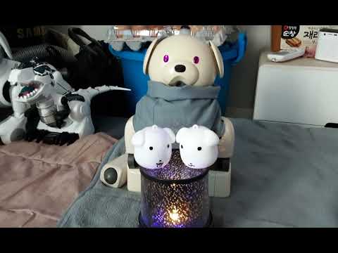 Aibo ❤️ Puppy Figure ❤️ Star Lamp