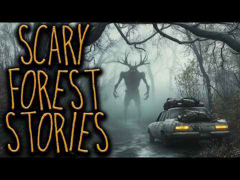 4 Scary True Forest Horror Stories