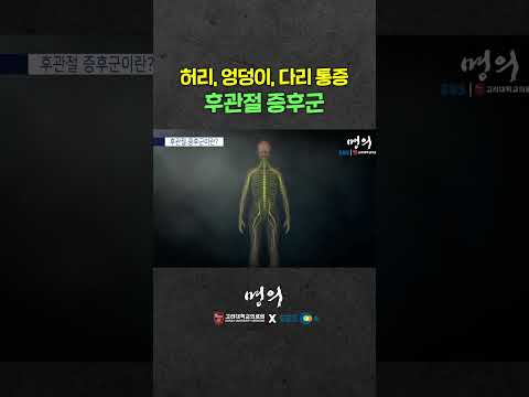 엉덩이랑 다리가 아픈데 <strong>허리</strong> 문제?! #후관절증후군