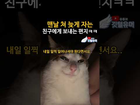 친구 재우고 싶을때 보내면 좋은 영상 ㅋㅋㅋㅋㅋ