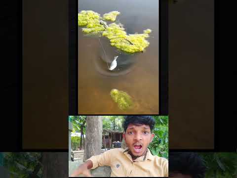 এটার মাধ্যমে আপনারা কি শিখলেন??  শিক্ষণীয় ভিডিও। #shorts #unfrezzmyaccount #viralvideo