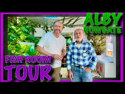 Fishroom of a Legend_ Alby Howgate Full Tour #fishkeepinghobby #aquarium #breedingfish 

Take a behind-the-scenes look into the incredible fishro