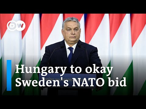 Hungarian prime minister says parliament set to ratify Sweden's NATO bid later this month | DW News