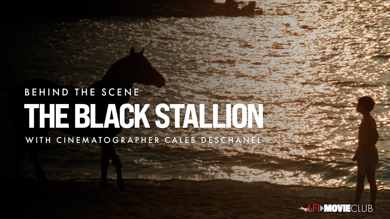The Black Stallion Trailerin pikkukuva