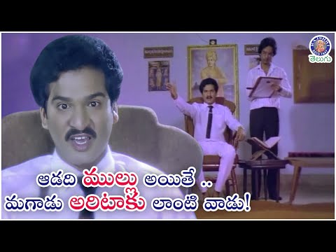 ఆడది ముల్లు అయితే మగాడు అరిటాకు లాంటి వాడు! | Rajendra Prasad Unforgettable Comedy Scene