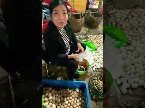 Hột vịt lộn con có lông bự chà bá #haihuoc #vypham #vuinhon #mientay #choque #bentre #funny